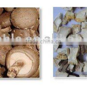 dehydrated shiitake granules