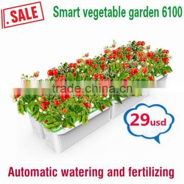 Widely Used Coffee Cup Shape Flower Pot photo-2