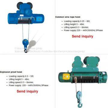 Widely Used Wire Rope Electric Hoist for Sale photo-3