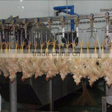 008618052092685 Poultry Chicken Slaughterhouse Equipment|High Quality Chicken Duck Broiler Slauhgtering Production Line photo-3