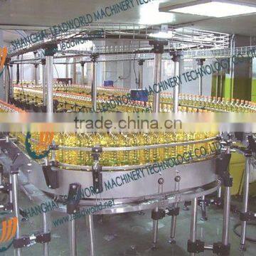 Lifting Chain Conveyor System