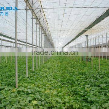 Baolida PC Sheet Greenhouse Polycarbonate Commercial Greenhouse photo-4