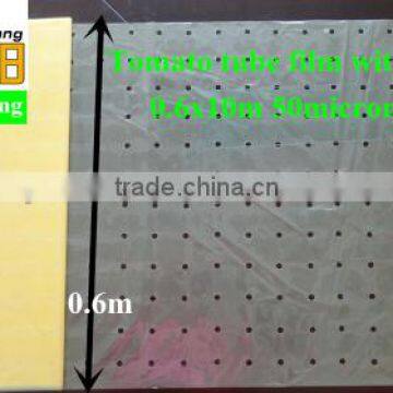 Green Color PE Agricultural Plastic Perforated Film With UV for Protective Tomato Tree photo-3