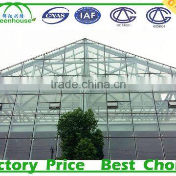 High Light Transmission Multi-span Glass Greenhouse photo-3