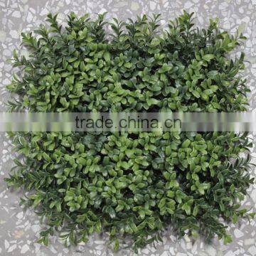 2017newest Design Artificial Mat Interior Decor Color Plastic Boxwood photo-6