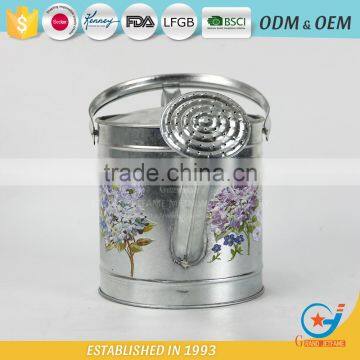 Galvanized Stickers Water Garden for Flowers Best Watering Can