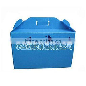 box