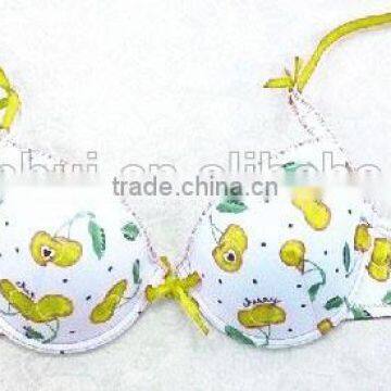 Cherry Bra/ Fashion Spandex Bra Sexy Bra Underwear Made in China photo-4