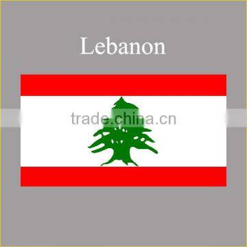 Wholesale Custom Arab Flag Design T-shirt Summer 2016 Fancy Lebanon Flag Boys Arab t Shirt photo-2