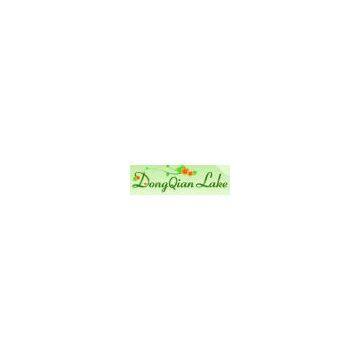 DongQian Lake Industrial Company Limited