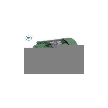 Y Series Three Phase Induction Motor