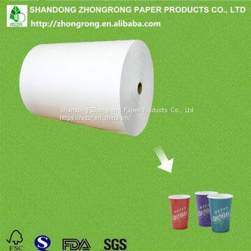 cup stock paper raw material