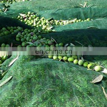 high quality hdpe olive collect net plastic fruit tree netting lowes