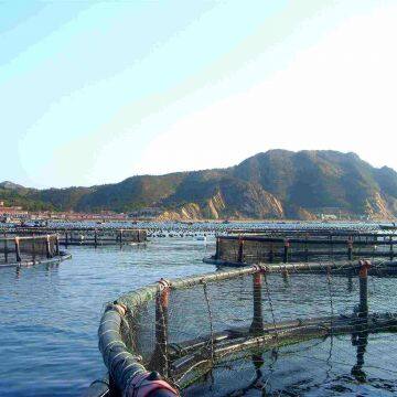 Anti-oxidant Floating Aquaculture Fishing Cage Cage For Fish