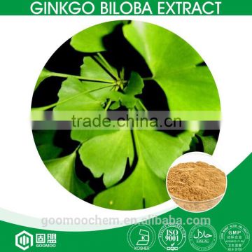 Supply Natural Ginkgo Biloba Leaf Extract 24% in Powder Form