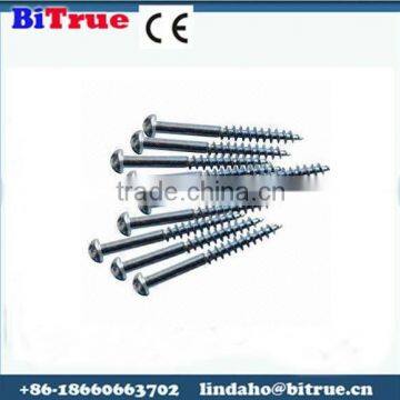 Competitive price zinc hex socket head self tapping plastite screw