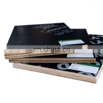 Building Construction Materials 18 mm Black Film Faced Plywood