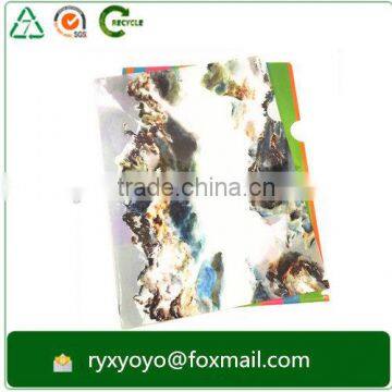 Transparent Glossy Polypropylene Plastic a4 Size L Shape Clear Folder Supplier's Choice photo-6