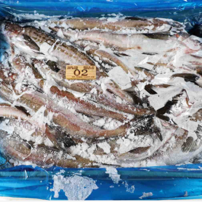 Gadus Chalcogrammus Frozen Alaska Pollock，pollock Fish, Pollock 100-300,300-500g photo-3