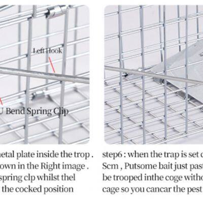 Double Door Entry Collapsible Animal Trap Cage Possum Cat Folding Live Animal Cage Trap photo-5