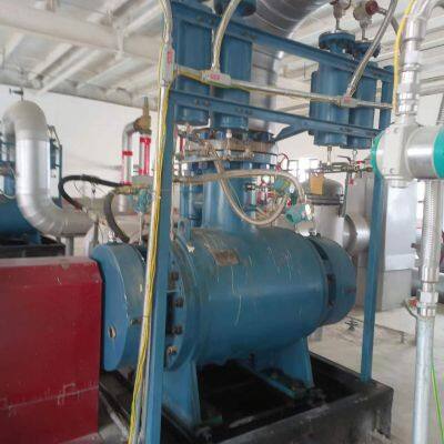 Chinese Screw Pump Manufacturers Produce Three-screw Pumps, Twin-screw Pumps, and Multiphase Pumps. photo-2