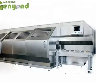 PET Bottle Pineapple Fresh Juice High Pressure Pasteurizer photo-3