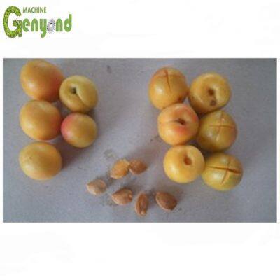 Apricot Pitting Stone Removing Machine Industrial Peach plum Avocado Stoning Seed Remove Pitter Stoner Price for Sale