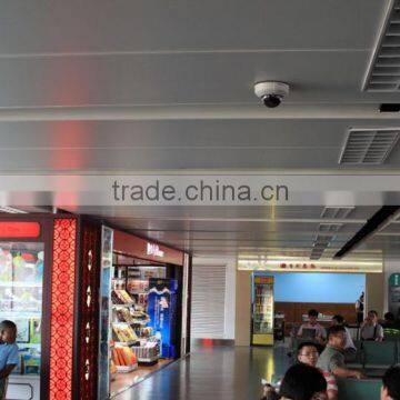 Aluminum Curtain Wall, Exterior Aluminum Veneer, Aluminum Panels, PVDF Coating Aluminum