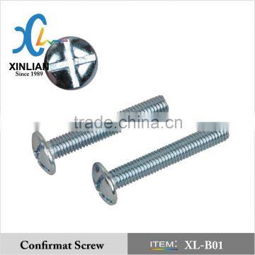 3/16,1/4 Roofing bolt with hex nut export to Kenya