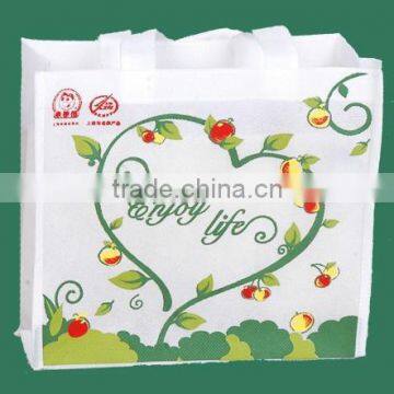 Nonwoven Bag