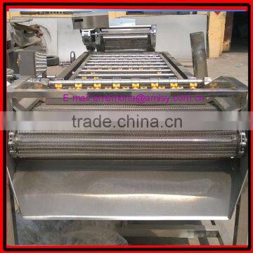 Bubble Type Kelp Washing Machine|Mushroom and Bean Sprout Cleaning Machine photo-3