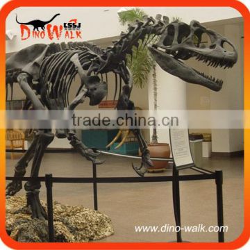 Museum high quality hot sale realistic fiberglass allosaurus dinosaur fossil