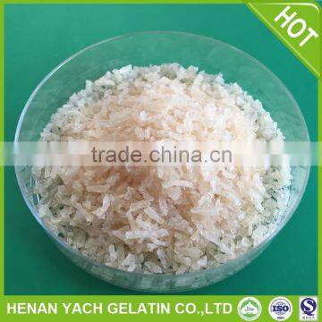 Professional china gelatin with high quality