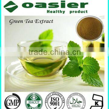 GMP Manufacture Supply China Green Tea Extract 50%-98%Polyphenol 84650-60-2