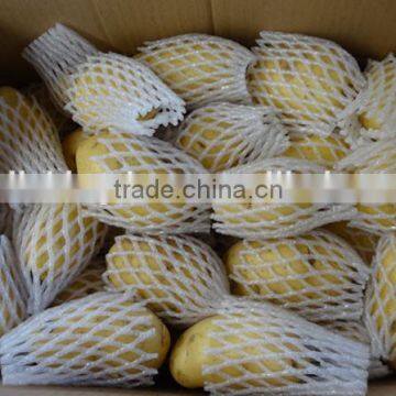 Fresh potato/Holland potato farms/ Fresh potato from China