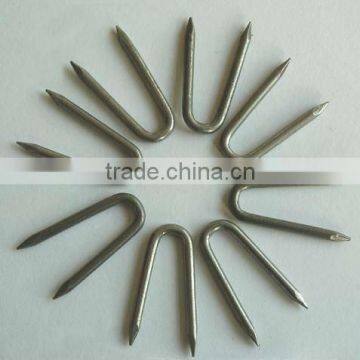 professional U-type nail manufacturer with 20 years