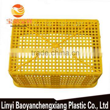 Plastic Fruit Basket for Orange Transportation photo-4