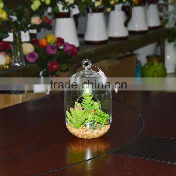 Hanging Terrarium Glass Vase Succulent Plants for Sale photo-3