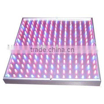 CE, ROHS, FCC. PSE approvied high quality high bright 225 LED grow light