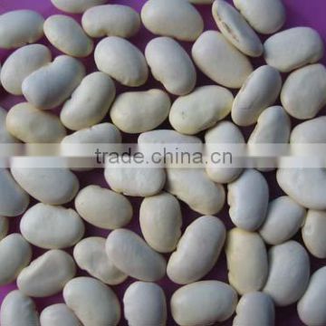 white kidney beans