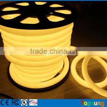 82' spool 24V 360 degree round blue neon light strip for building                        
                                                                                Supplier's Choice