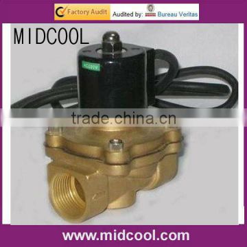 Under Water Solenoid Valve Brass 2W200-20-G Waterproof Valves