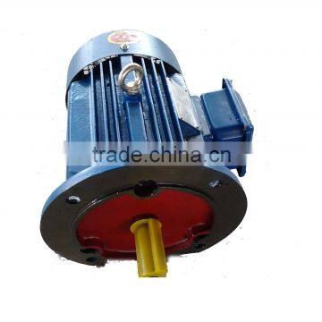 YE2 mini electric motor