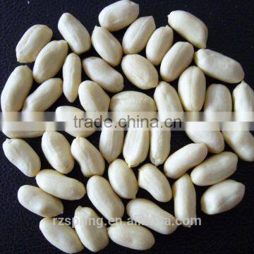 Chinese shandong province origin good quality blanched peanut kernels