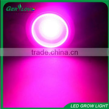 Wholesale cheap cob led grow light par38 12w cob led grow light extreme flower led grow lights