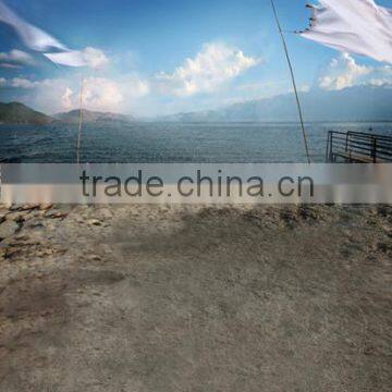 10ft x 10ft Meters Best Sale Scenic Digital Background For Children