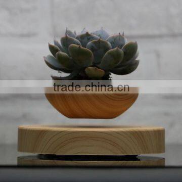 creative decoration floating mini potted plant pots