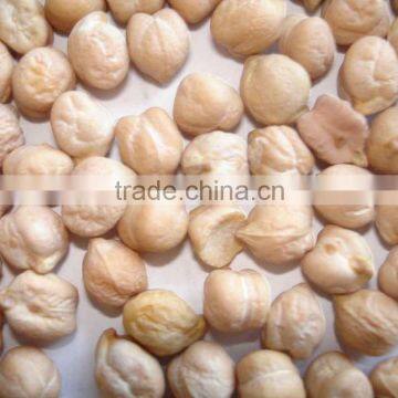 sale quality chickpeas in india