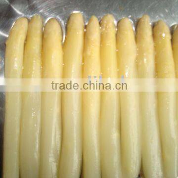 Canned White Asparagus