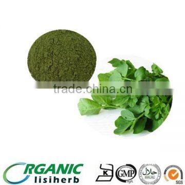 Factory supply organic watercress herb powder with free sample